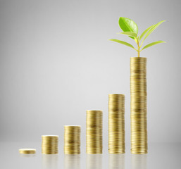 Coins graph stock market