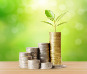 Coins graph stock market