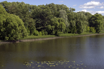 Летний день на берегу реки.