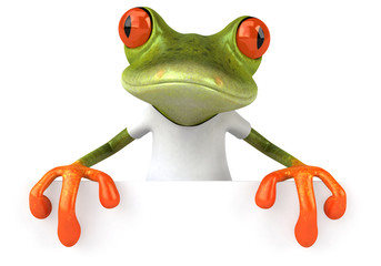 Obraz na płótnie Canvas Frog with a white tshirt
