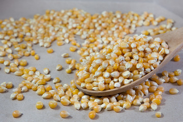 corn seed on wooden spoon paper background