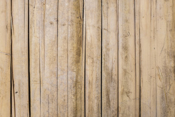 Obraz na płótnie Canvas bamboo in pattern