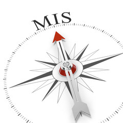 Compass MIS © Coloures-Pic