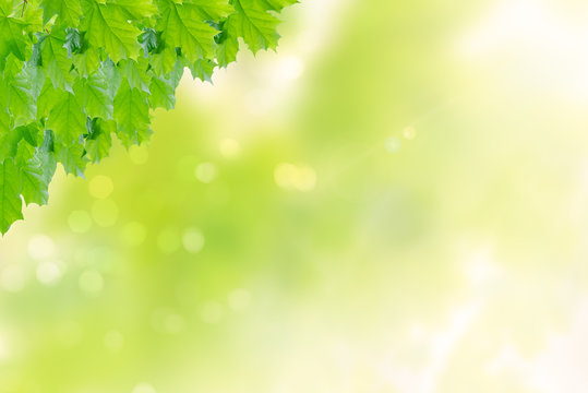 Nutur Hintergrund