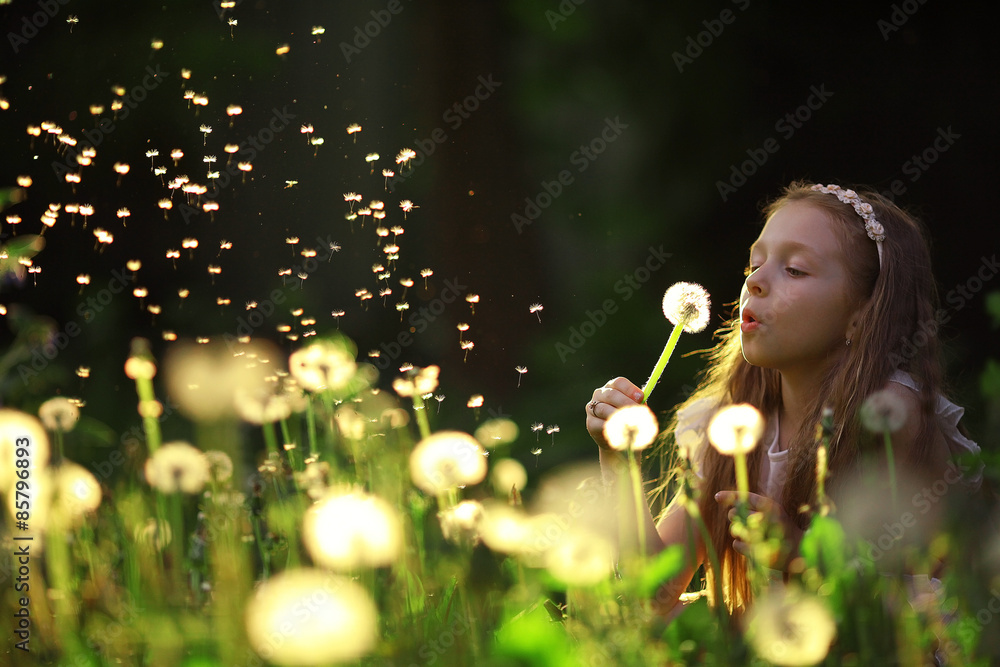 Wall mural girl collects flowers childhood