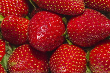 Strawberries background