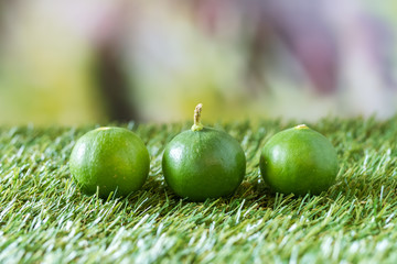 lime on grass