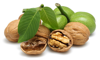 Walnut