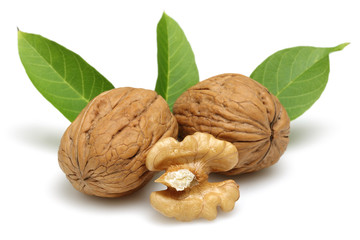 Walnut