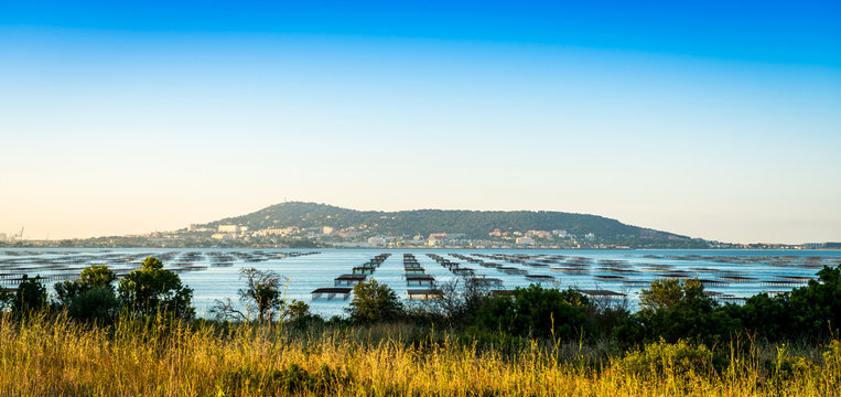 Lever de soleil sur le bassin de Thau