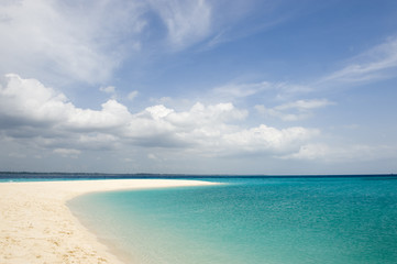 Fototapeta na wymiar Zanzibar, western coast, a beach of Prison island