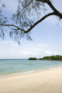 Zanzibar, western coast, a beach of Manai bay,