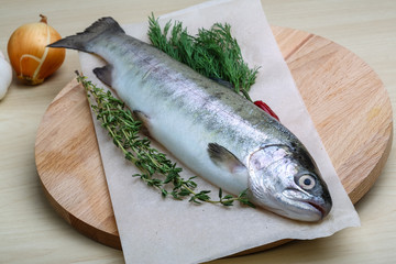 Raw trout