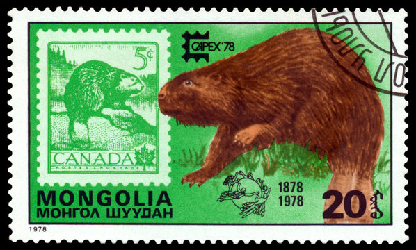 Stamp. Eurasian Beaver and Canada.