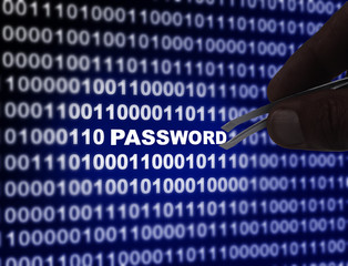 Phishing Password