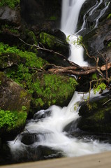 Triberg Waterfalls in Black Forest (Schwarzwald), Germany