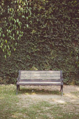 Vintage tone of Garden hedges with a bench