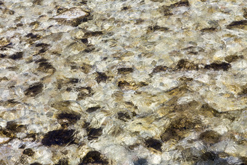 detail of river gives a harmonic background