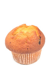 Blueberry muffin isolated on white