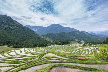 丸山千枚田