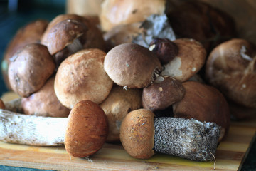fresh mushrooms in a basket