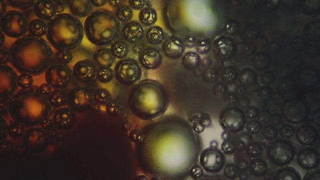 Microscopic structure of melting laundry detergent compound.