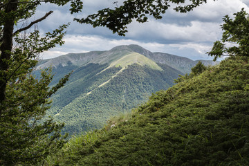 Parco Nazionale d'Abruzzo Lazio e Molise