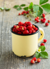 Wild strawberry in a cup.