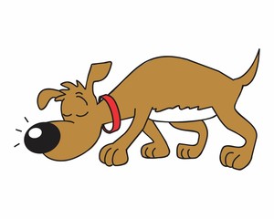 pet dog sniff