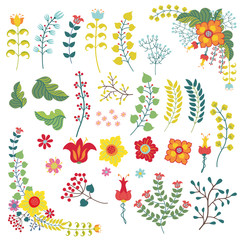 Vintage flowers set.Flowers,branches,berries isolated