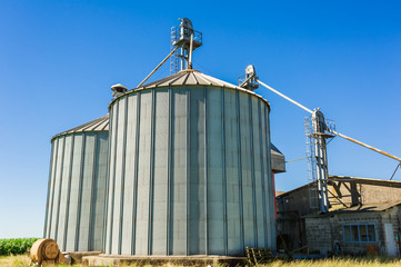 Obraz premium Storage facility cereals.