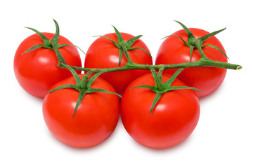 Branch of fresh red tomatoes on isolated white backround