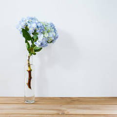 One single hydrangea in a glass bottle