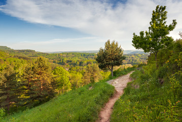 Fototapeta premium Aerial view over path in Kurortny park, Kislovodsk, Russia