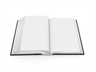 Blank opened book