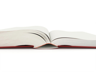 Blank opened book rendered