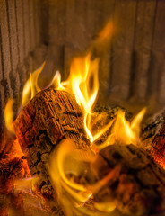Feuer