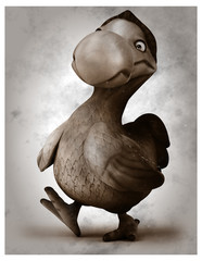 Dodo © Julien Tromeur