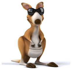 Fun kangaroo © Julien Tromeur