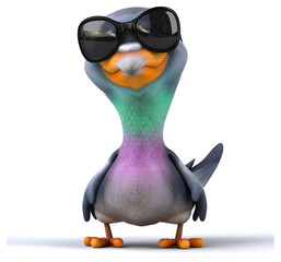 Fun pigeon