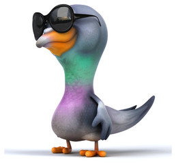 Fun pigeon