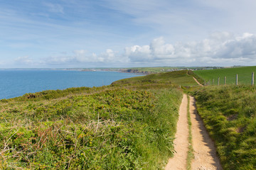 Devon coast path towards Thurlestone England UK 