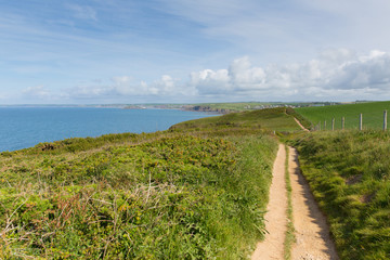 Fototapeta premium Devon coast path towards Thurlestone England UK 
