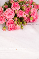 Obraz na płótnie Canvas Fresh pink rose