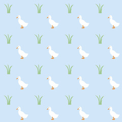 duck pattern