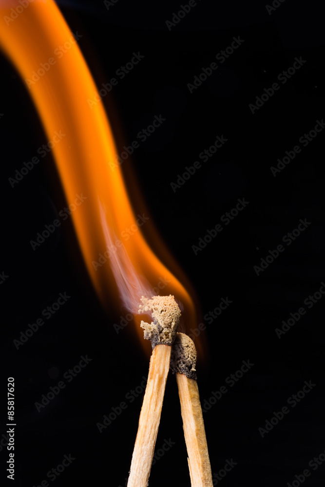 Wall mural match stick extreme closeup isolated on black background.