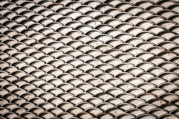 Horizontal Fish Scales © markdeibertphoto