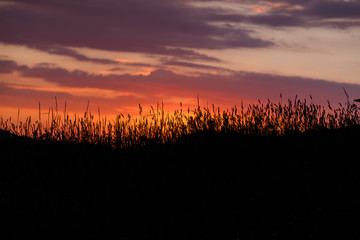 Atardecer en el puerto de Leitariegos, Asturias