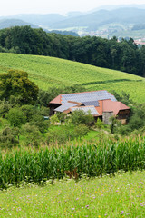 Plakat Schwarzwaldbauernhof mit Solaranlage