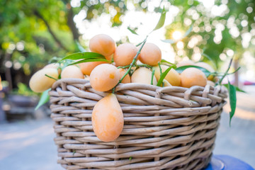 thai fruit